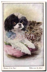 Postcard Old Dogs Puppy Dog Cat Kitten Beware of the dog!