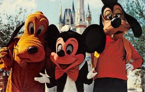 Magic Kingdom Mickey Mouse, Pluto and Goofy Disneyland, CA, USA Disney Unused 