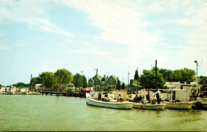 Maryland Smith Island Greetings From Tylertown Harbor Scene