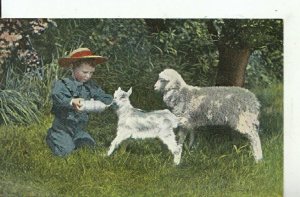 Children & Animals Postcard - Child Feeding a Lamb and Sheep - Ref 10959A