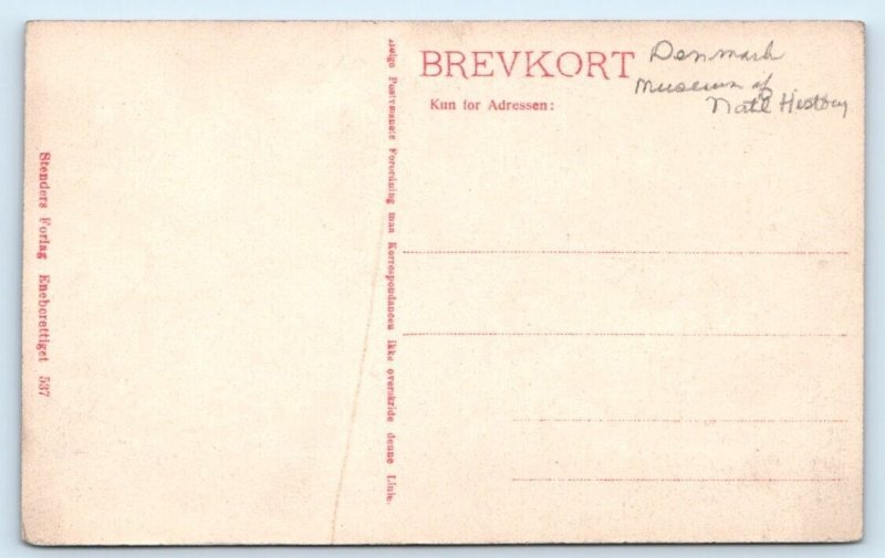 Frederiksborg Slot Denmark Postcard