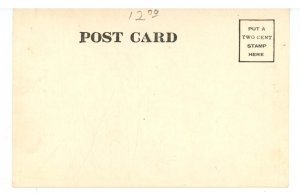 IL - Chicago. Riverview Amusement Park, Night Scene ca 1906