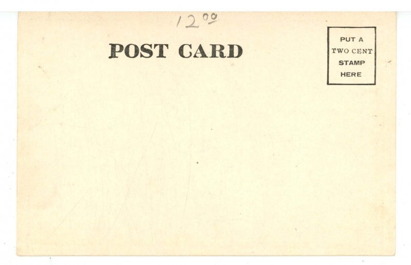 IL - Chicago. Riverview Amusement Park, Night Scene ca 1906