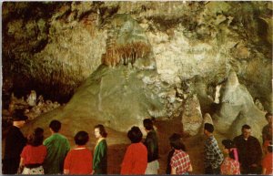 New Mexico Carlsbad Caverns The Cave Man