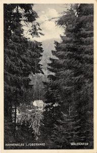 B3638 Germany Hahnenklee i Oberharz Waldkater 1932   front/back scan