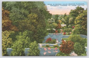 Linen~Peacock Valley & Flamingos In St Louis Zoo~Vintage Postcard