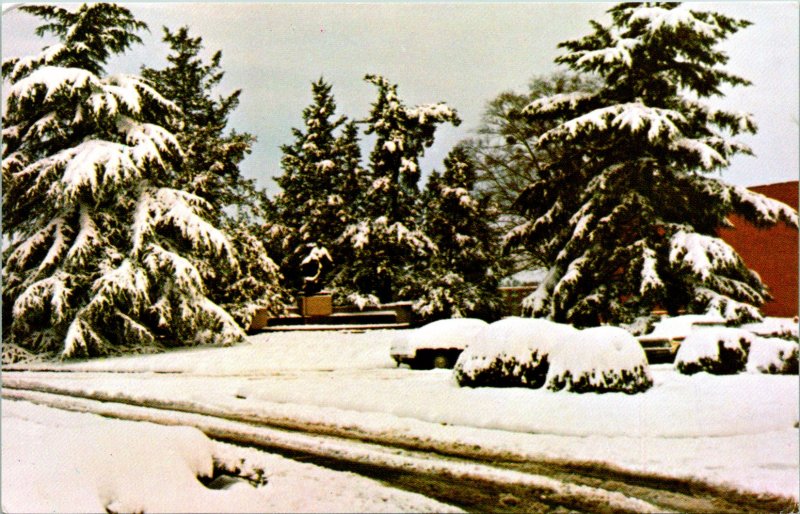 Tuskegee AL Snow Booker T Washington Monument Postcard Unused (16043)