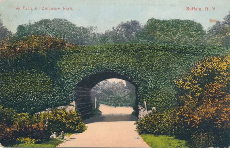 Buffalo NY, New York - Ivy Arch on Bridge in Delaware Park - pm 1909 - DB