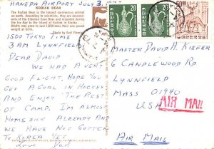 Kodiak Bear Alaksa, USA Postcard