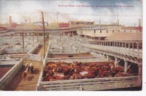 Illinois Chicago Union Stock Yards Cattle Pens and Runways