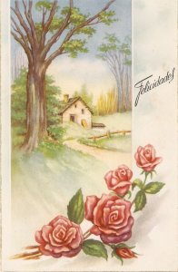 Flowers. Landscapes Lot of two (2) vintage Spanish Greetings postcards. 1950s