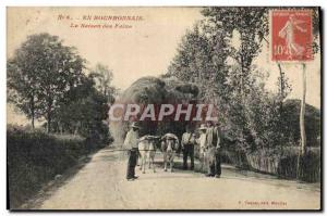 Old Postcard Folklore Bourbonnais The haying season