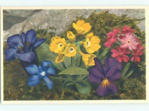 Very Old Foreign Postcard BEAUTIFUL FLOWERS SCENE AA4352