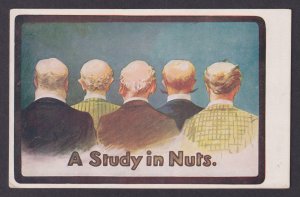 GREAT BRITAIN, Vintage postcard, Humor, A Study in Nuts