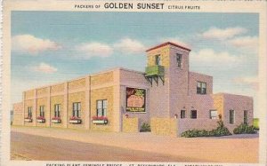 Florida St Petersburg Golden Sunset Citrus Packing Plant