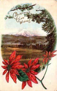 Merry Christmas With Poinsettias and Mountain View 1913