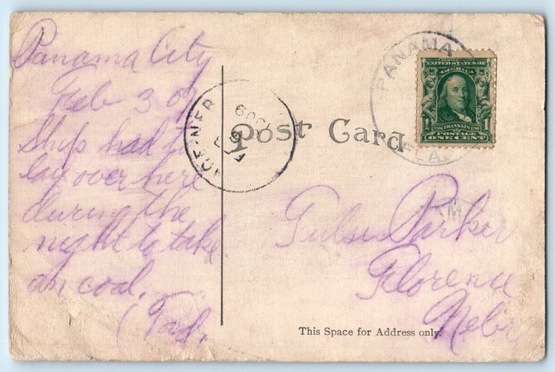 c1909 Panama City Florida FL Vintage Postcard Lover's Lane Forest Trees Posted