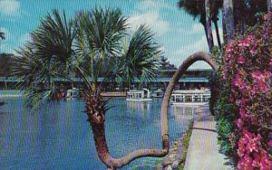 Florida Silver Springs Home Of World Famous Glass Bottom Boats