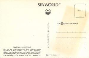 Friendly Dolphins Sea World San Diego CA Aurora OH Orlando FL Postcard