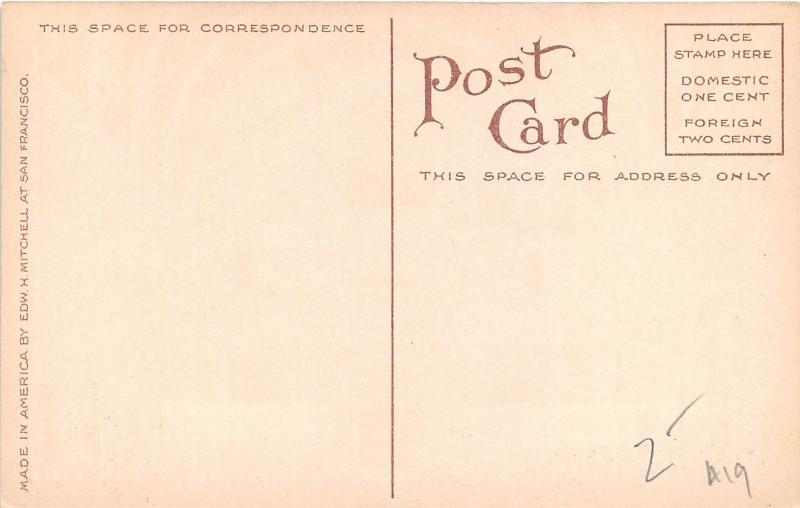 Seattle Washington~St James Roman Catholic Cathedral Interior~c1910 Postcard