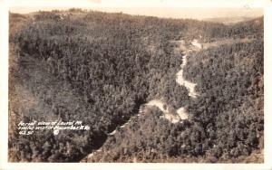 Macomber West Virginia Laurel Mountain Real Photo Antique Postcard (J32387) 