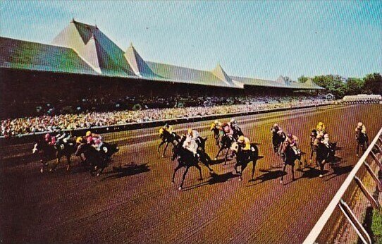 A Field Of Thoroughbreds Driving Through The Long Stretch At Famed Saratoga N...