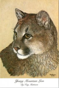 4X6 POSTCARD Art From Oil Painting YOUNG MOUNTAIN LION By Artist KAY MATTISON