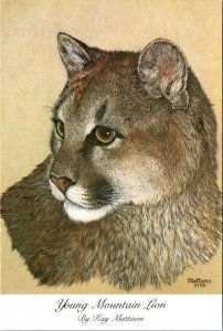 4X6 POSTCARD Art From Oil Painting YOUNG MOUNTAIN LION By Artist KAY MATTISON