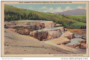 Mammoth Hot Springs Terraces Yellowstone National Park Curteich