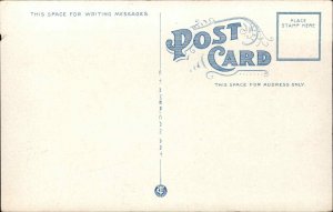 DORCHESTER MA Washington Street Codman Square c1920 Postcard