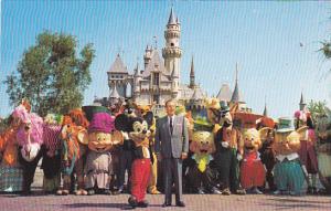 Walt Disney Mickey Mouse and Cast In Front Of Castle 