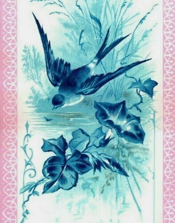 1880s-90s Victorian Birthday Bookmark Poem Beautiful Blue-Bird P209 