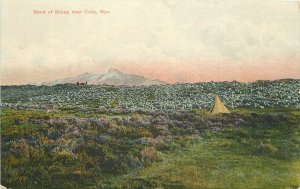 Postcard Wyoming Cody Band of Sheep The Wonder Store C-1910 23-8987