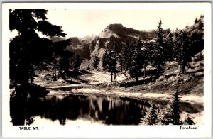 Table Mountain Skyline South Africa Forest Mountain Jacobson RPPC Photo Postcard