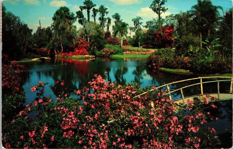 Cypress Gardens Florida Bridge Flowers Postcard PM Hallandale FL Cancel WOB Note 