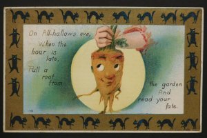 1912 Halloween Postcard Carrot Man, Black cats border, full moon Uxbridge, MA