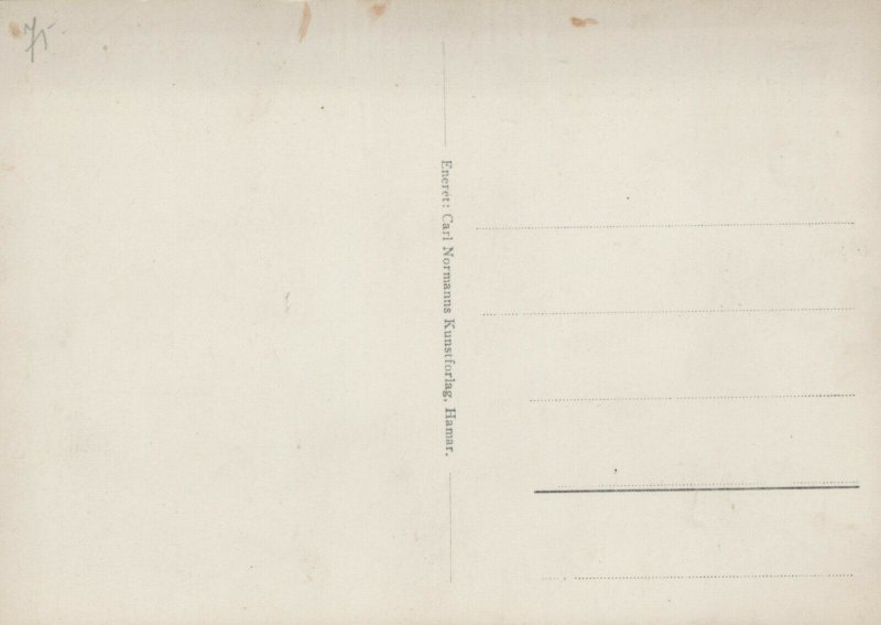 Norway Norge Voss Vintage RPPC BS18