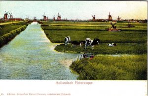 Holland, Netherlands  WINDMILLS~BOYS/CANAL~CATTLE GRAZING ca1900's UDB Postcard