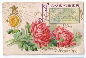 Gem Birthday Series November Topaz Postcard E. Nash 1908