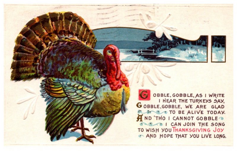 Thanksgiving ,Turkey , Poem