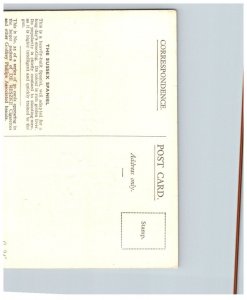 Dog ,  Sussex Spaniel Puppy