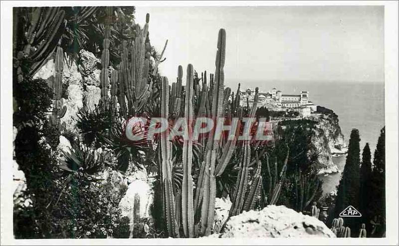 Modern Postcard Monaco The exotic gardens and a corner of the rock