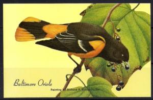 Baltimore Oriole