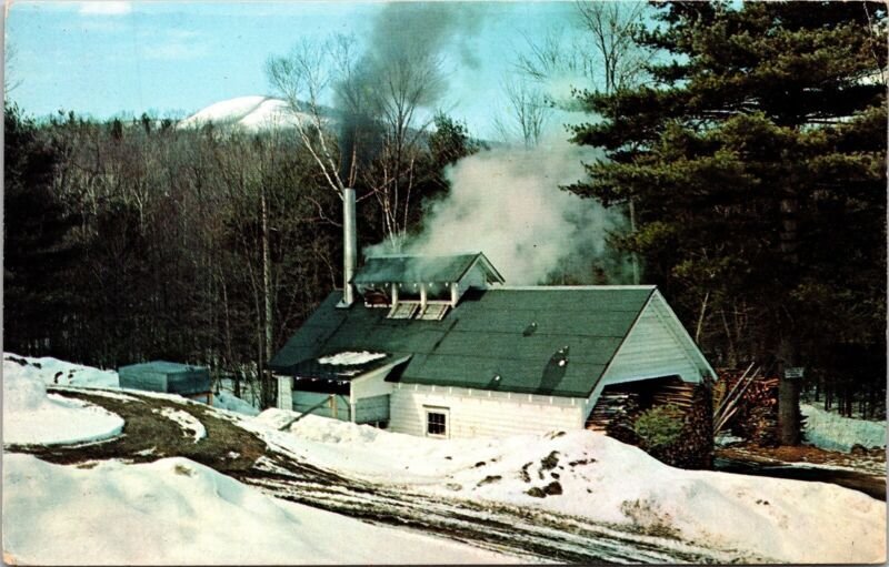 Maple Sugaring Vermont Vintage Unposted Snow Winter Cold Postcard