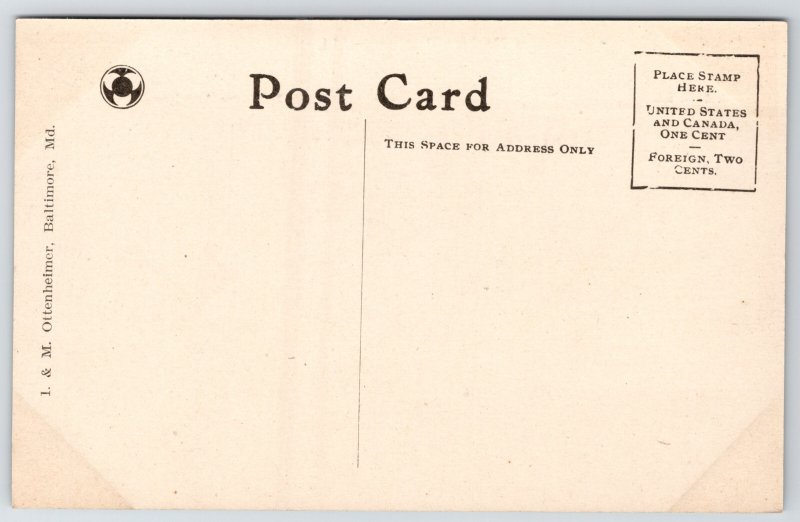 Baltimore Harbor~B&O Railroad, Equitable, Trust Bldgs~City Hall~Ottenheimer 1910