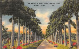 Avenue of Royal Palms Coconut Grove Miami FL