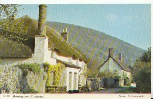 Somerset Postcard - Bossington - Showing Houses - Ref TZ3582