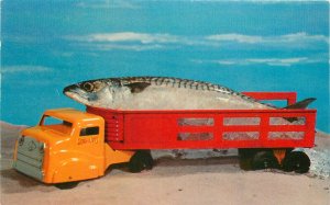 1960s Advertising large fish  one that didn't get away Postcard Tichnor 22-11202