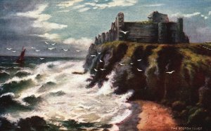 Vintage Postcard The Scotch Coast Rough Seas Seagulls Oilette Raphael Tuck & Son