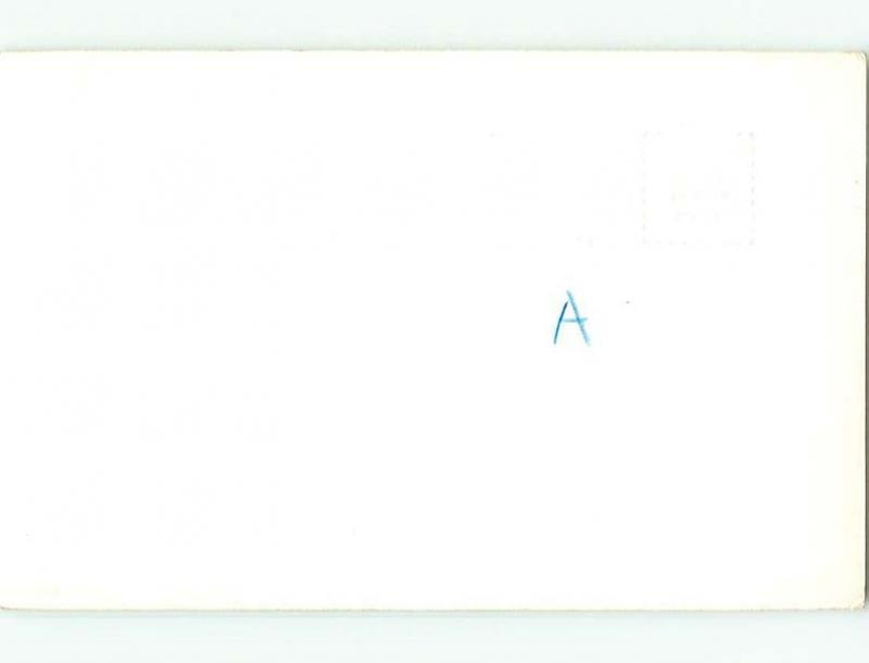 Pre-1950 rppc TURNER FALLS WATERFALL Davis Oklahoma OK t2537